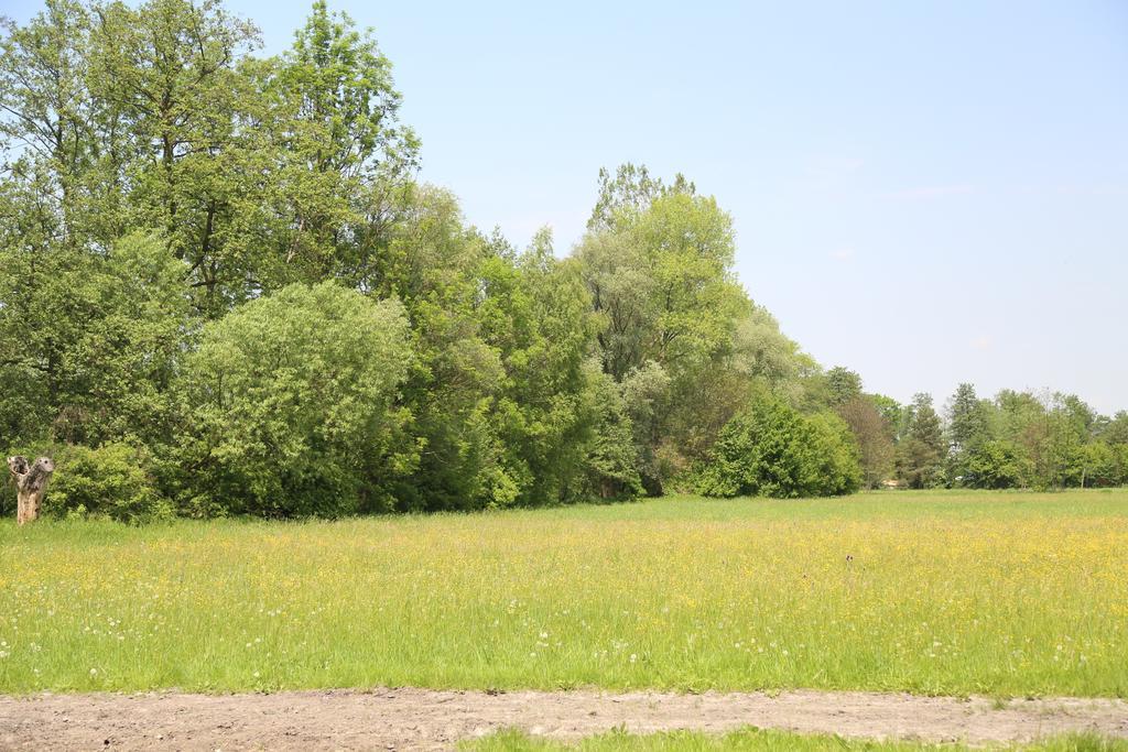 Gospodarstwo Agroturystyczne Stary Mlyn Wilczkowice Michalowice  Exterior foto