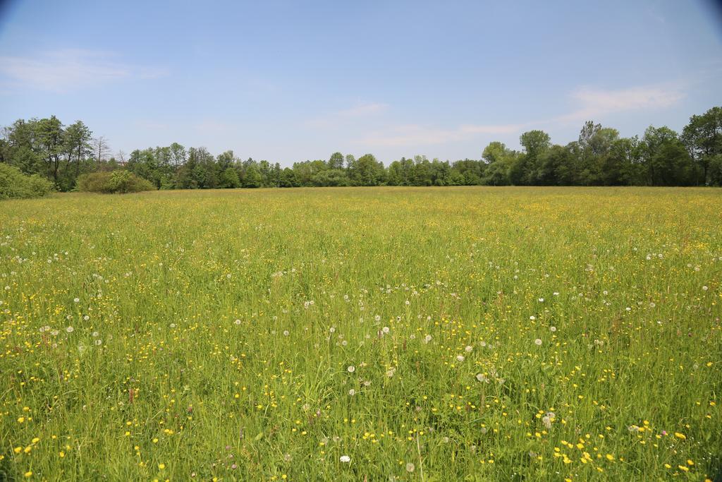 Gospodarstwo Agroturystyczne Stary Mlyn Wilczkowice Michalowice  Exterior foto